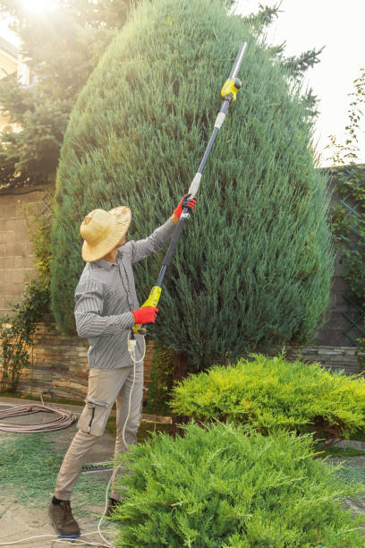 Best Weed Control  in Silver Spring, MD